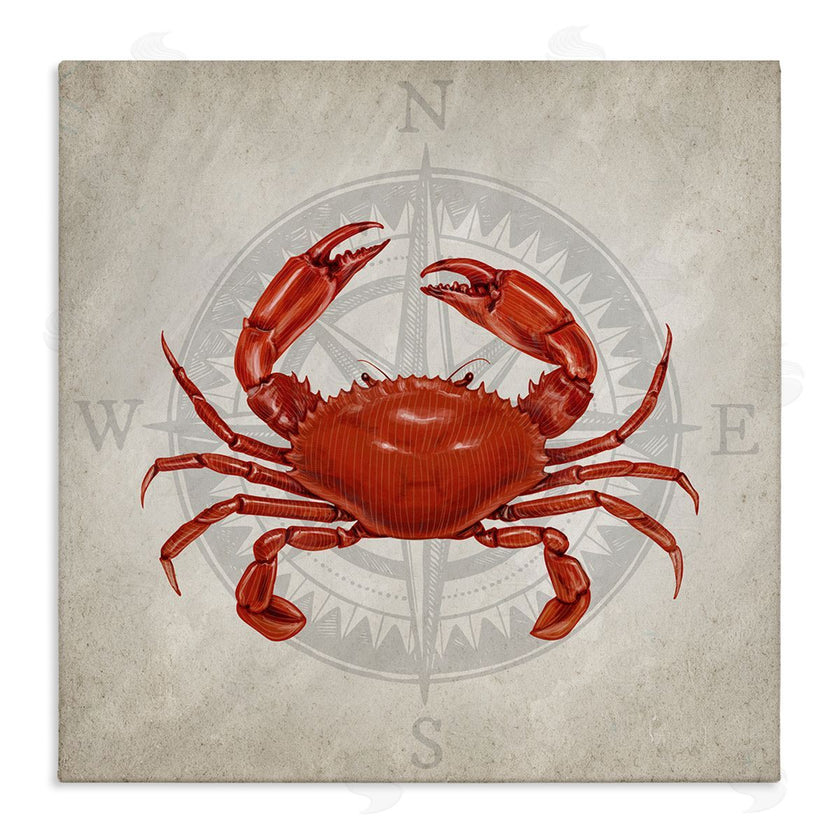 Kim Allen | Red Crab over Compass