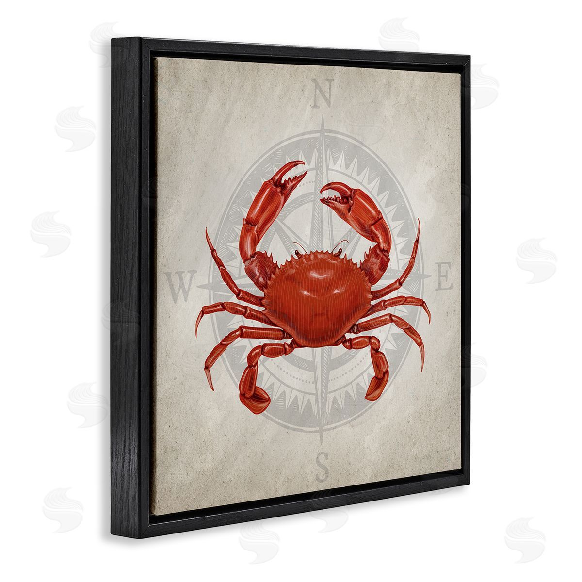 Kim Allen | Red Crab over Compass
