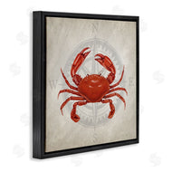 Kim Allen | Red Crab over Compass