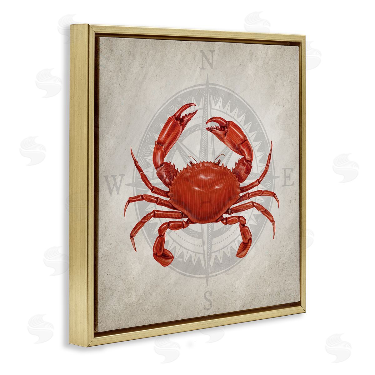 Kim Allen | Red Crab over Compass
