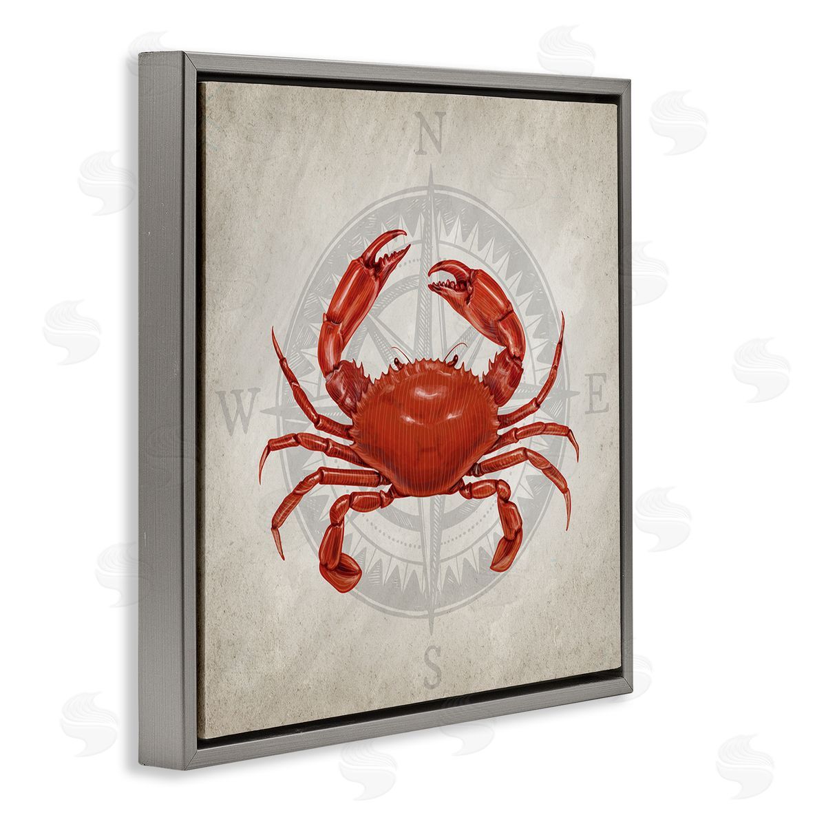 Kim Allen | Red Crab over Compass
