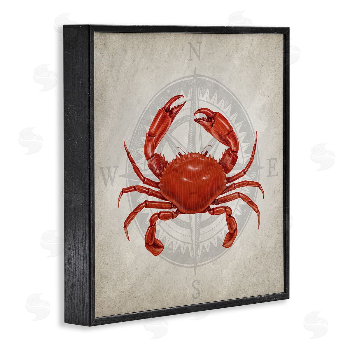 Kim Allen | Red Crab over Compass