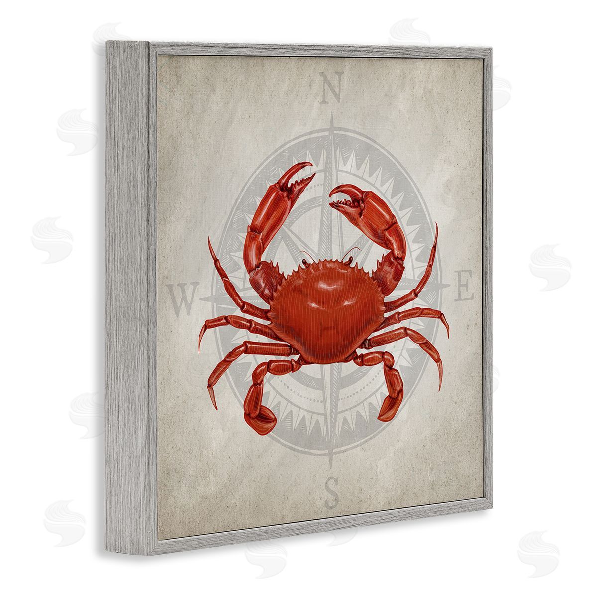Kim Allen | Red Crab over Compass