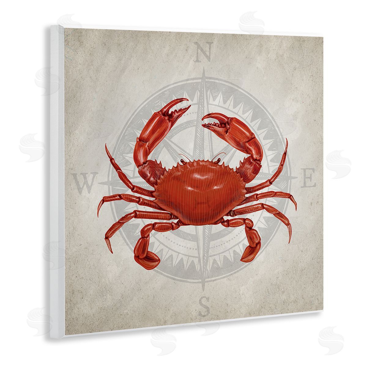 Kim Allen | Red Crab over Compass