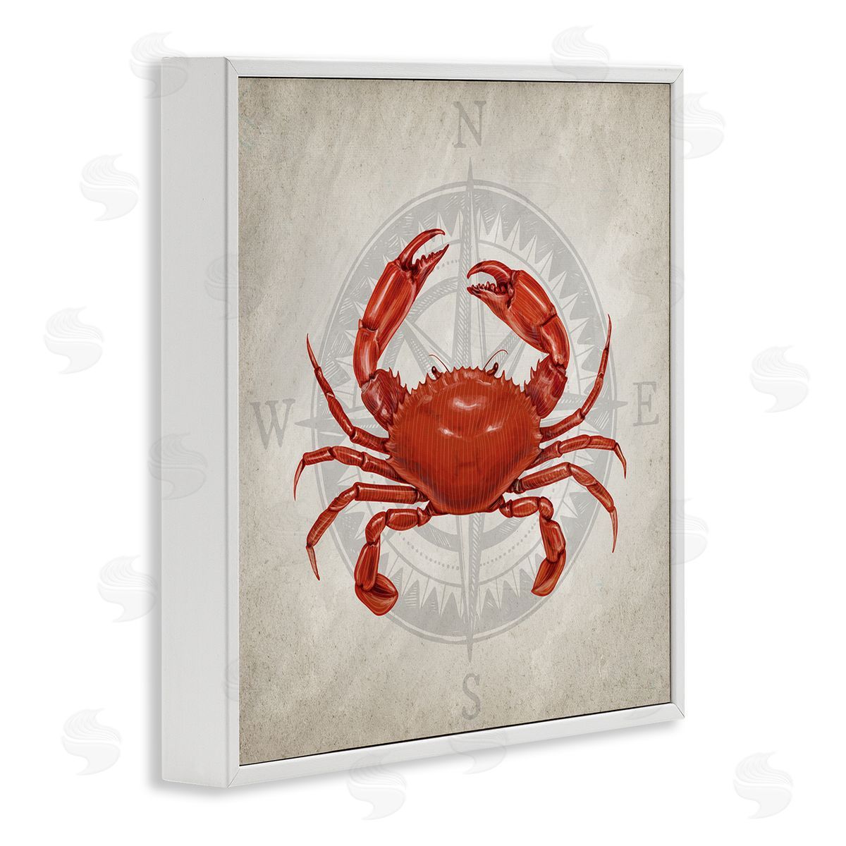 Kim Allen | Red Crab over Compass