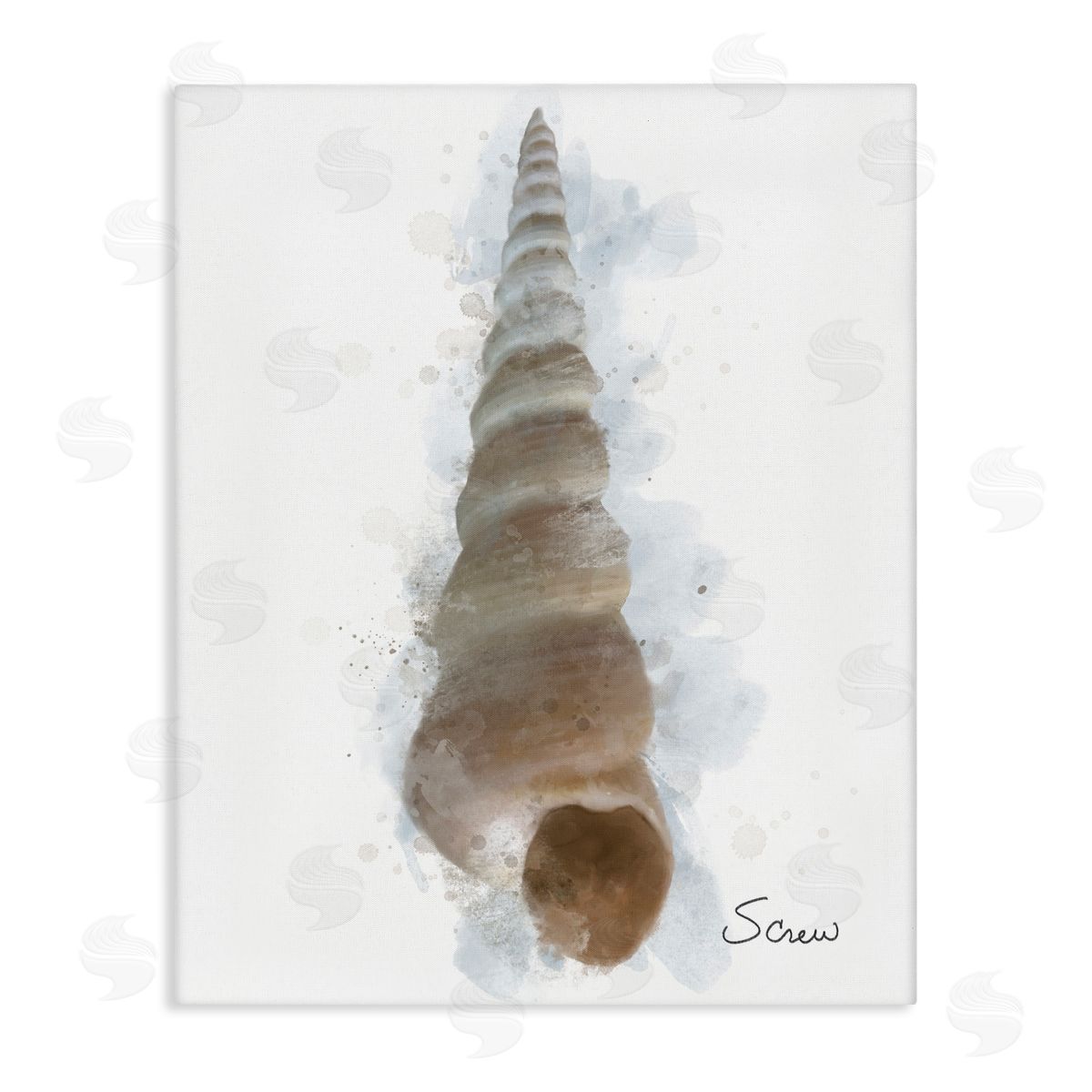 Matthew Piotrowicz Honeybloom Turritella Shell Canvas Wall Art Print