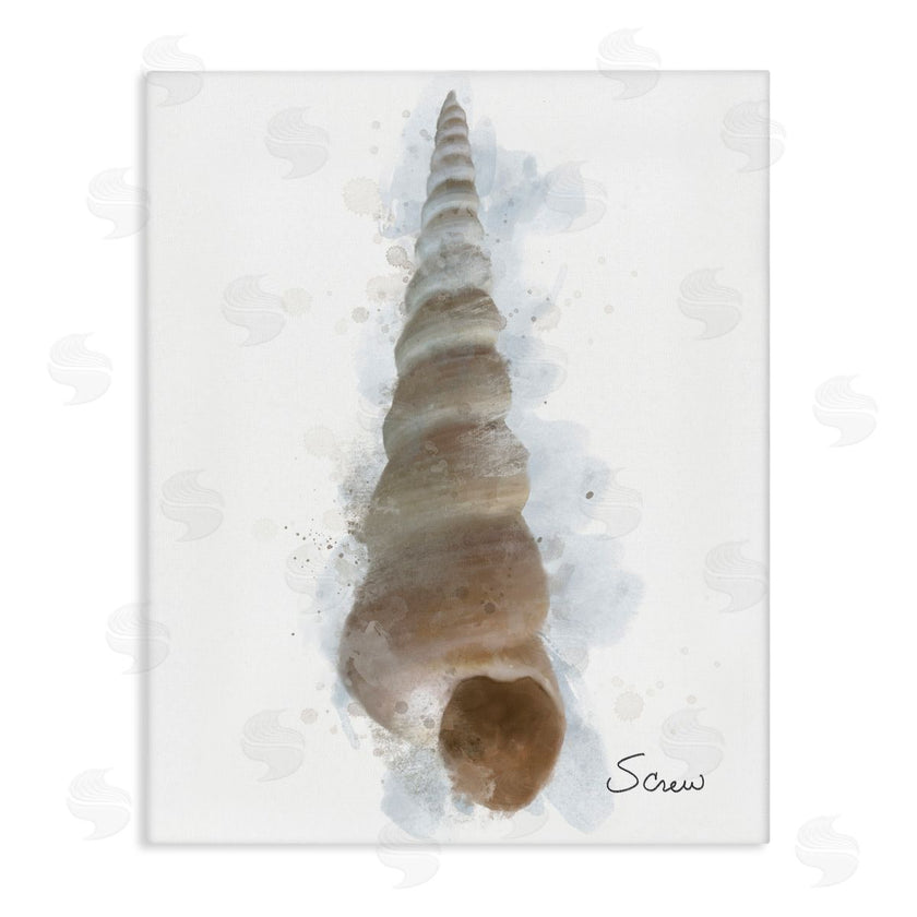 Matthew Piotrowicz | Honeybloom Turritella Shell