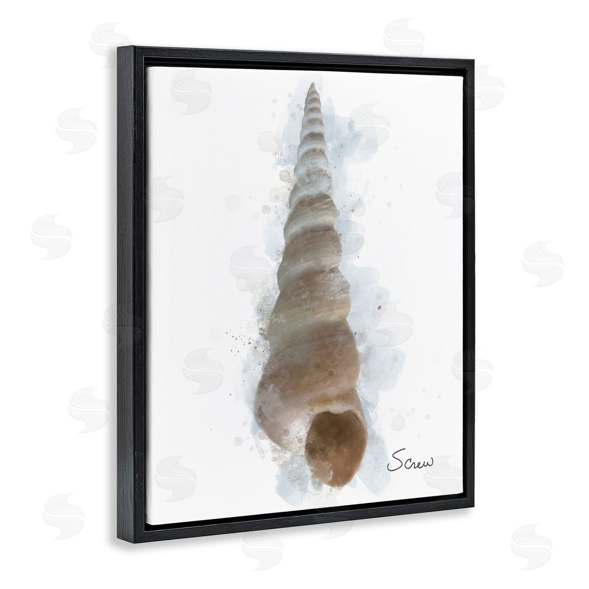Matthew Piotrowicz Honeybloom Turritella Shell Canvas Wall Art Print
