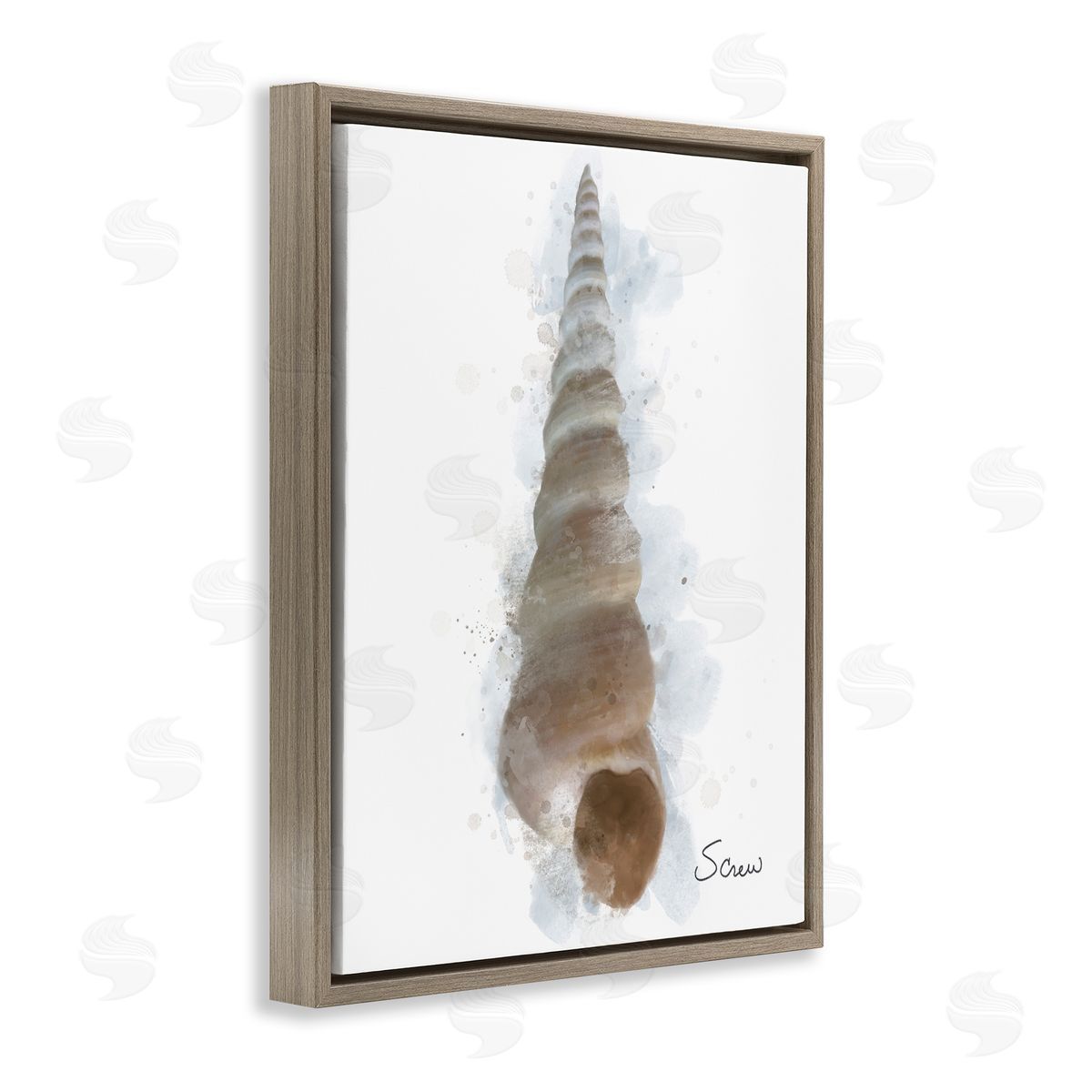 Matthew Piotrowicz Honeybloom Turritella Shell Canvas Wall Art Print