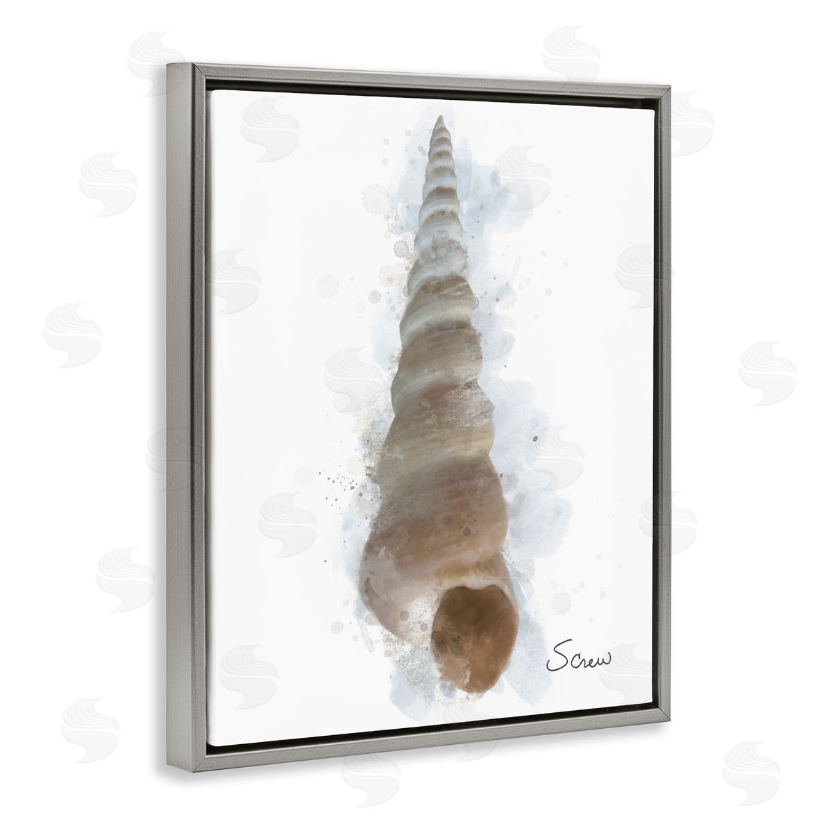 Matthew Piotrowicz Honeybloom Turritella Shell Canvas Wall Art Print