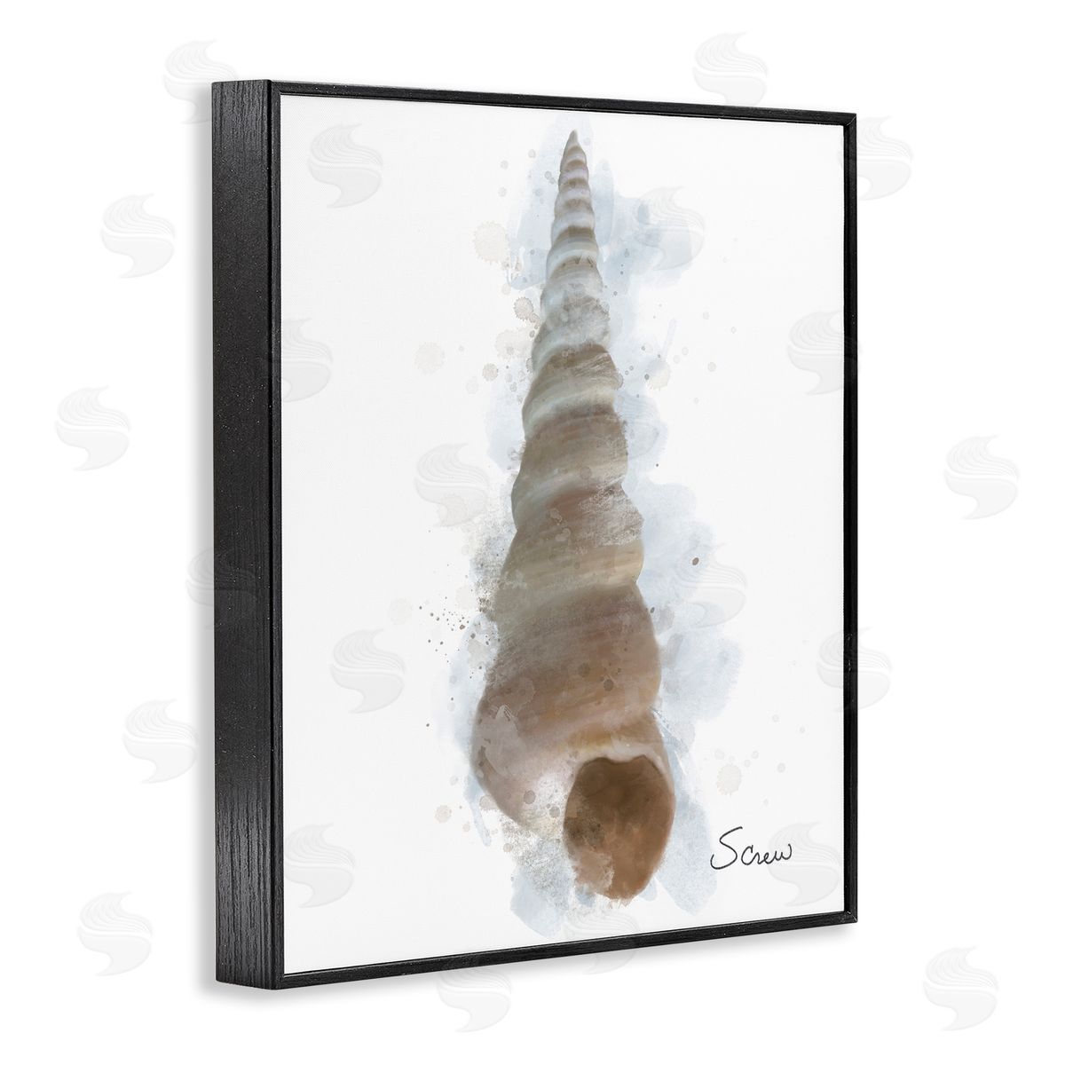 Matthew Piotrowicz Honeybloom Turritella Shell Canvas Wall Art Print