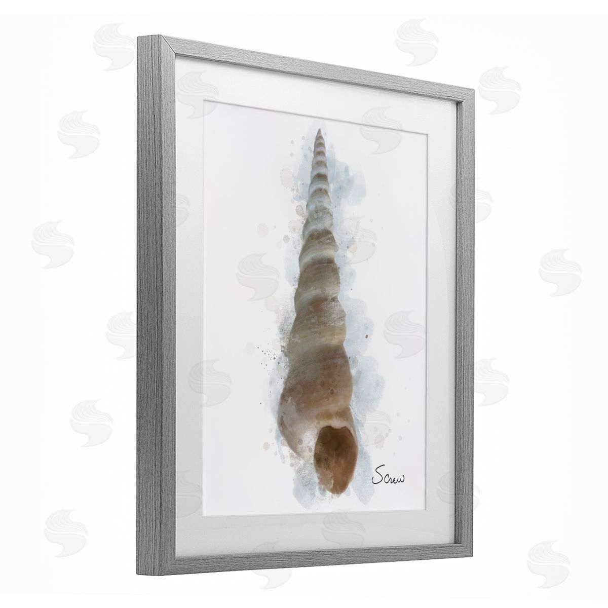 Matthew Piotrowicz Honeybloom Turritella Shell Canvas Wall Art Print