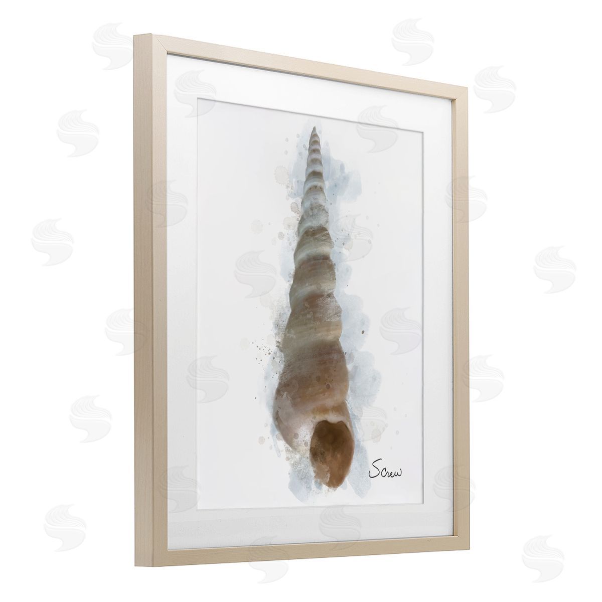 Matthew Piotrowicz Honeybloom Turritella Shell Canvas Wall Art Print