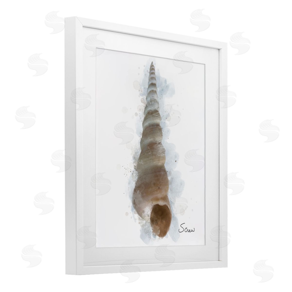 Matthew Piotrowicz Honeybloom Turritella Shell Canvas Wall Art Print