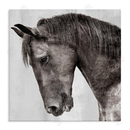 Kim Allen | King Monochromatic Horse Portrait