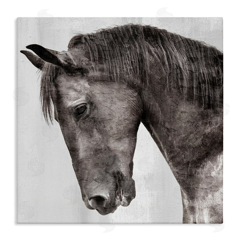 Kim Allen | King Monochromatic Horse Portrait