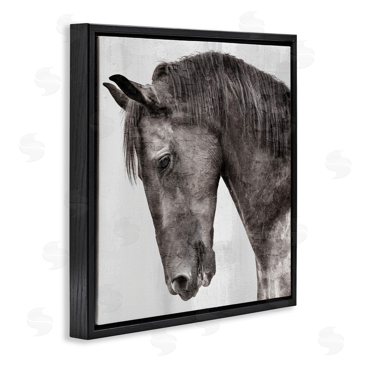 Kim Allen | King Monochromatic Horse Portrait