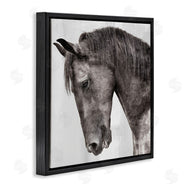 Kim Allen | King Monochromatic Horse Portrait
