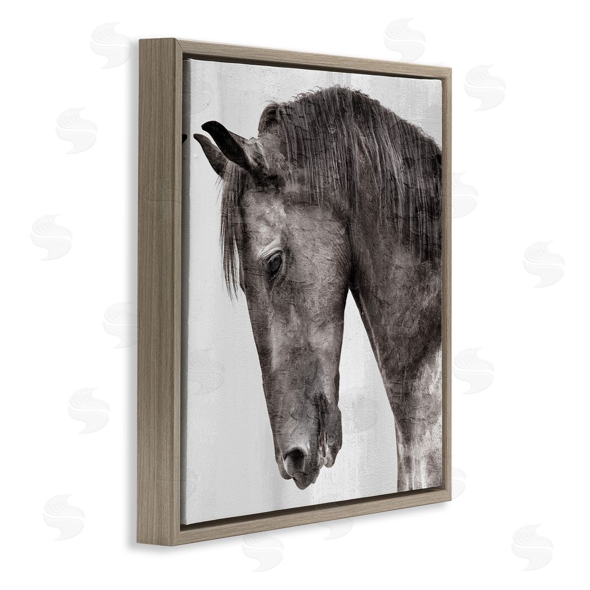 Kim Allen | King Monochromatic Horse Portrait