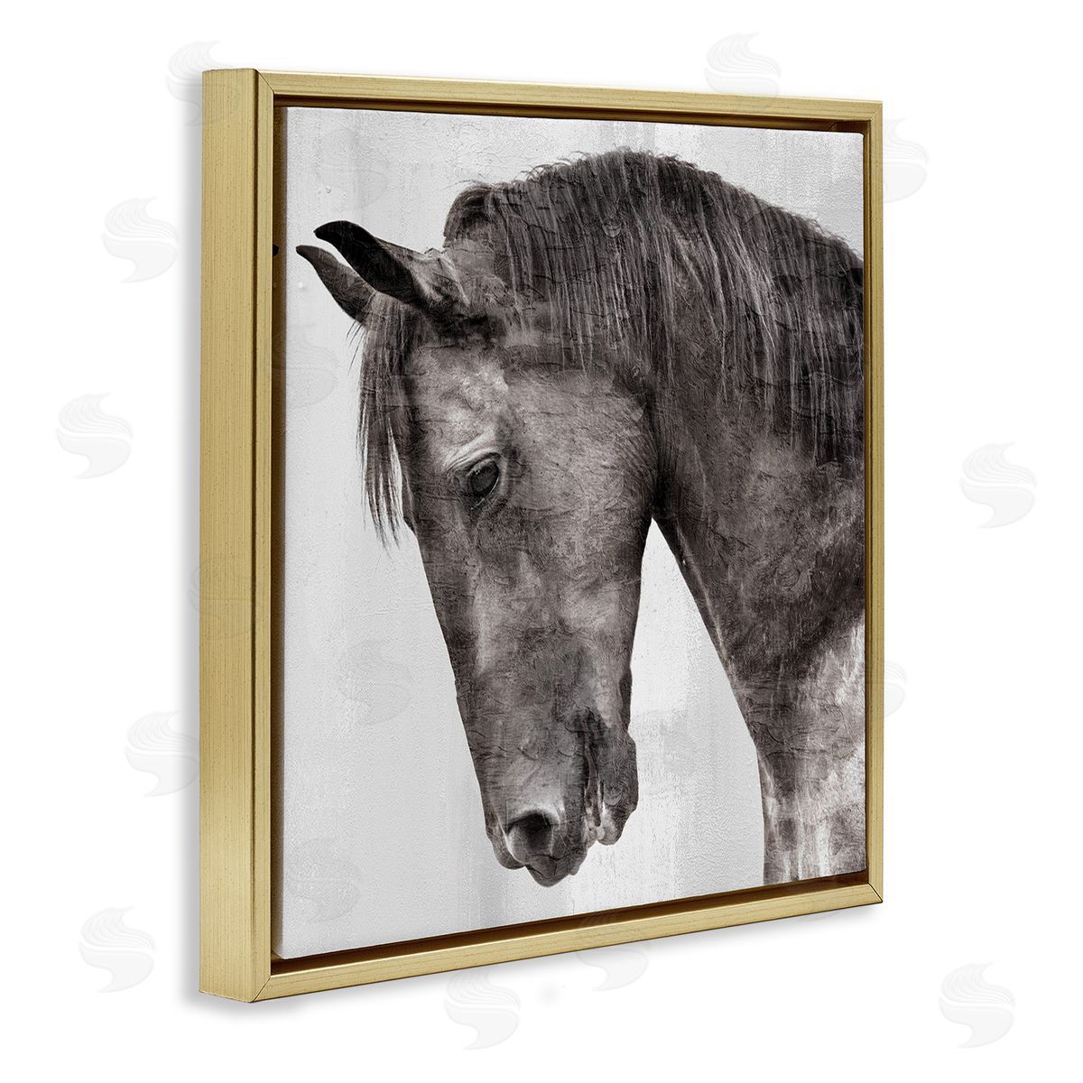 Kim Allen | King Monochromatic Horse Portrait