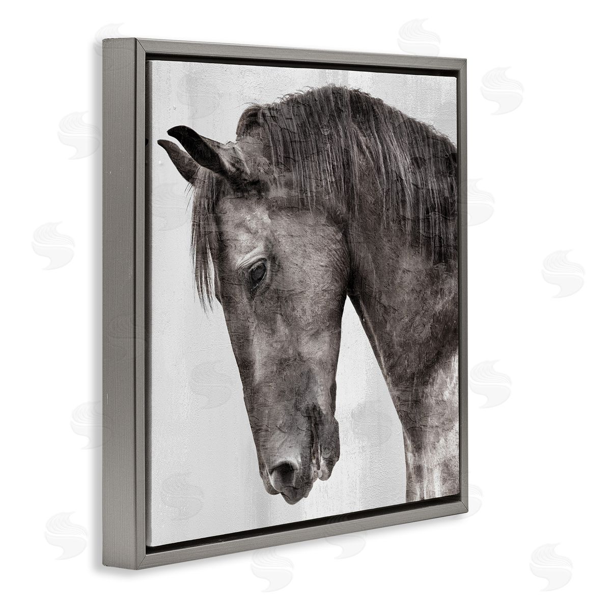 Kim Allen | King Monochromatic Horse Portrait