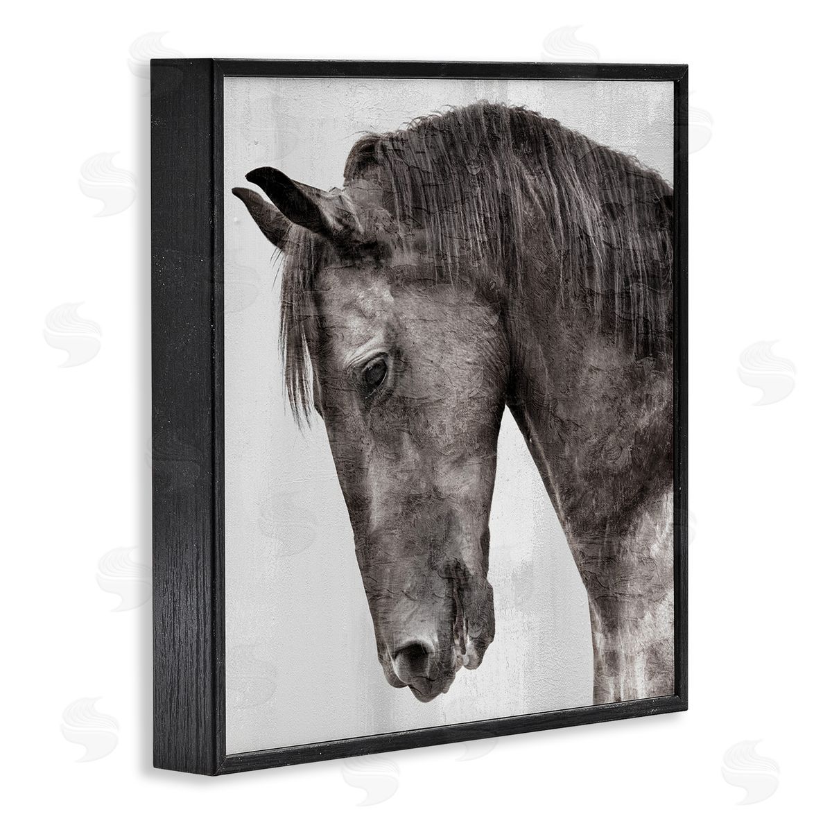 Kim Allen | King Monochromatic Horse Portrait