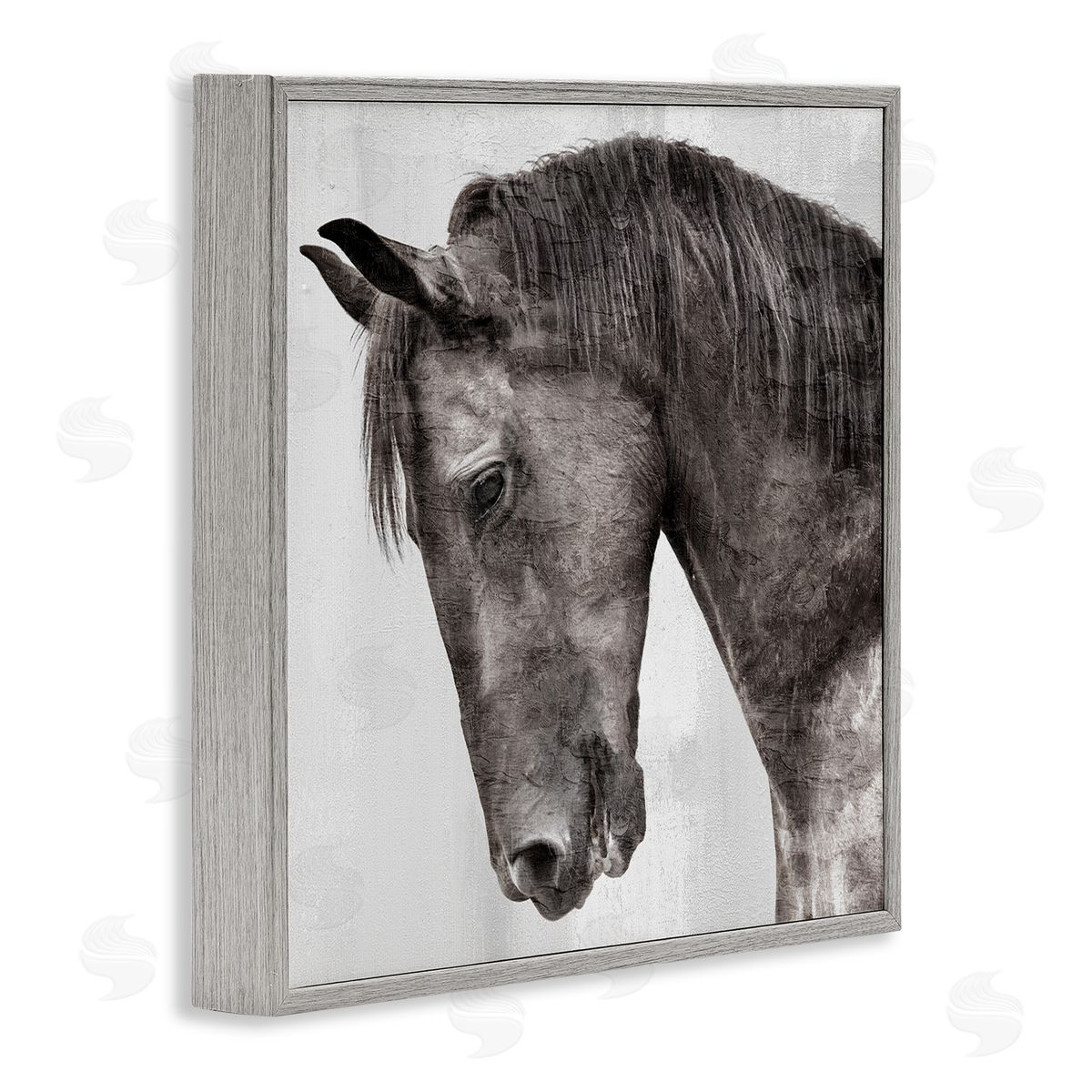 Kim Allen | King Monochromatic Horse Portrait