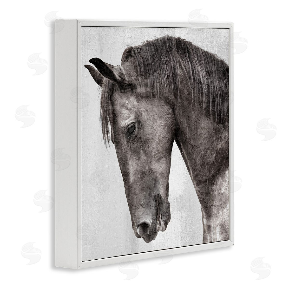 Kim Allen | King Monochromatic Horse Portrait
