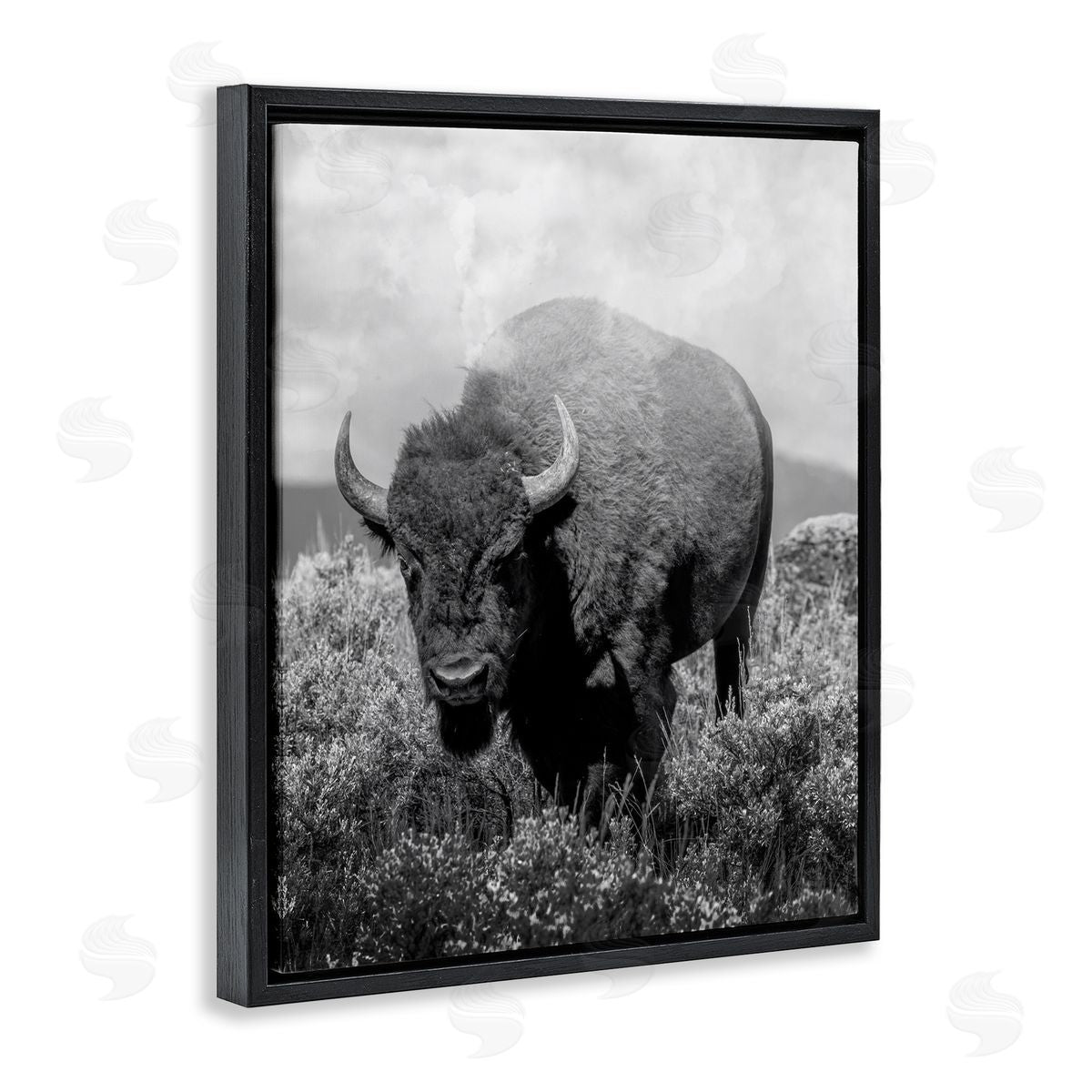 Marcus Prime Wandering Bison Monochrome Portrait Canvas Wall Art Print