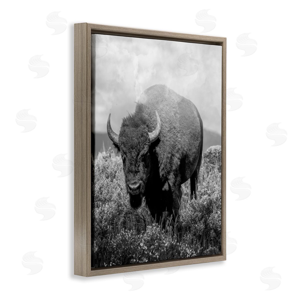 Marcus Prime Wandering Bison Monochrome Portrait Canvas Wall Art Print