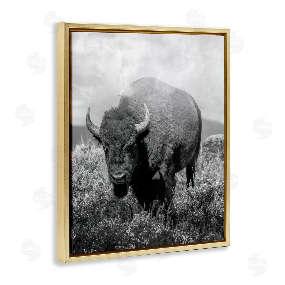 Marcus Prime Wandering Bison Monochrome Portrait Canvas Wall Art Print