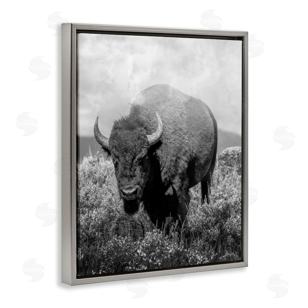 Marcus Prime Wandering Bison Monochrome Portrait Canvas Wall Art Print