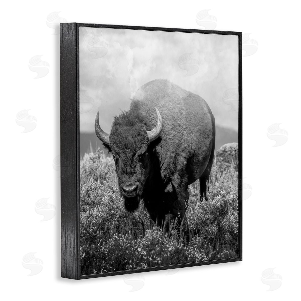 Marcus Prime Wandering Bison Monochrome Portrait Canvas Wall Art Print