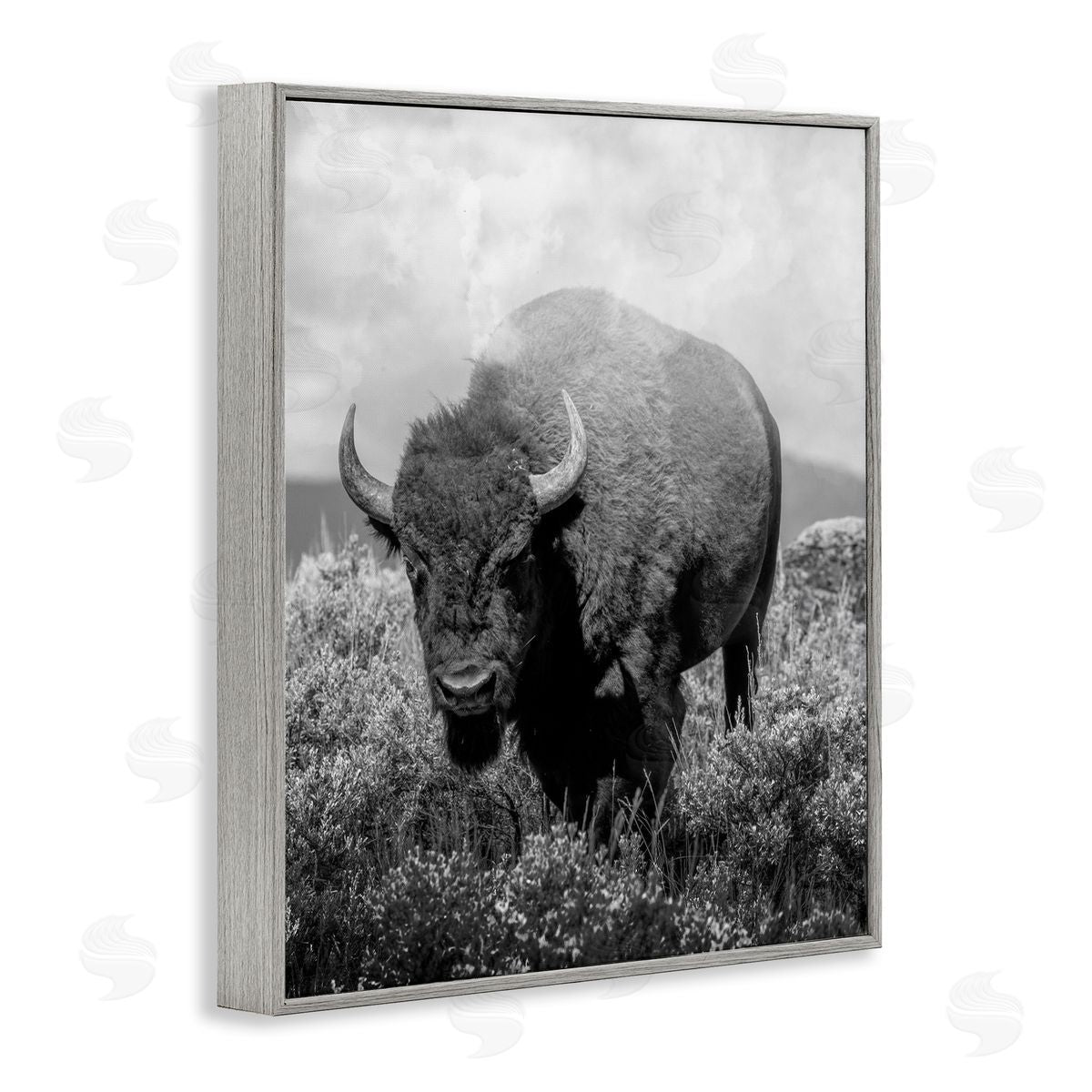 Marcus Prime Wandering Bison Monochrome Portrait Canvas Wall Art Print