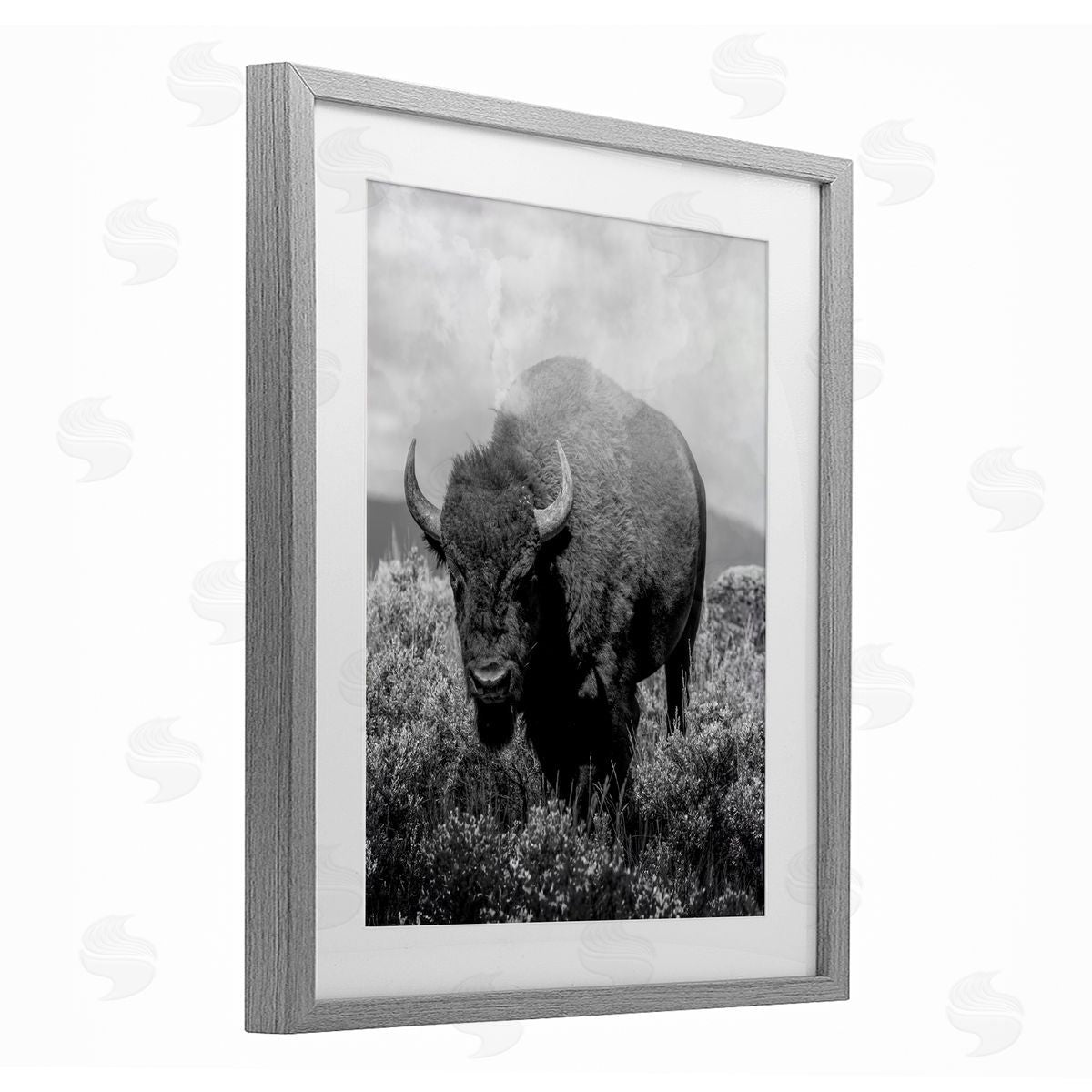 Marcus Prime Wandering Bison Monochrome Portrait Canvas Wall Art Print