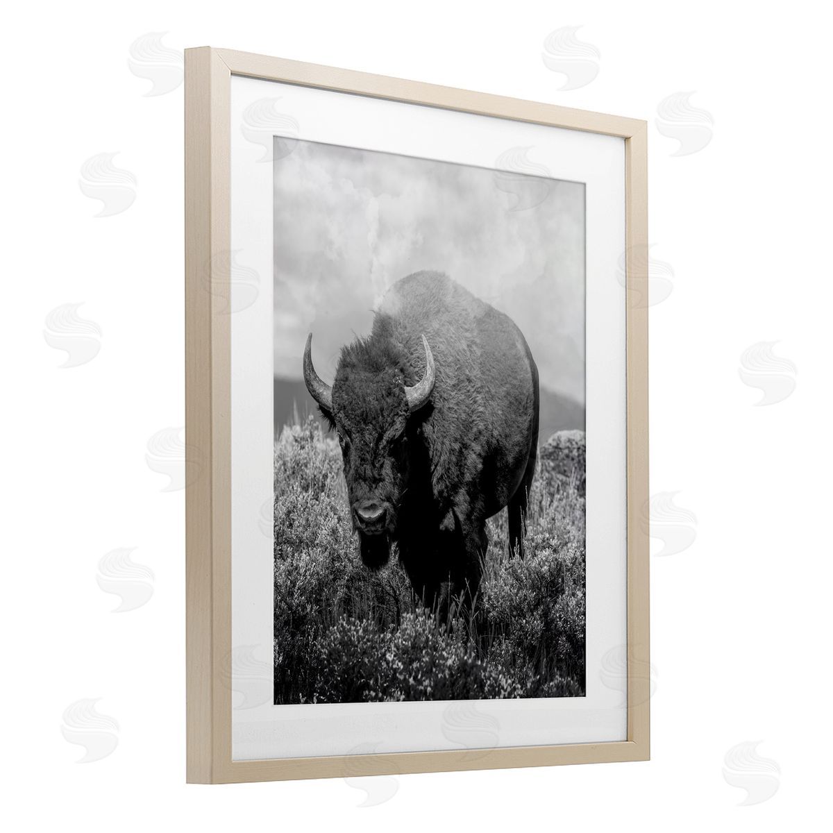 Marcus Prime Wandering Bison Monochrome Portrait Canvas Wall Art Print