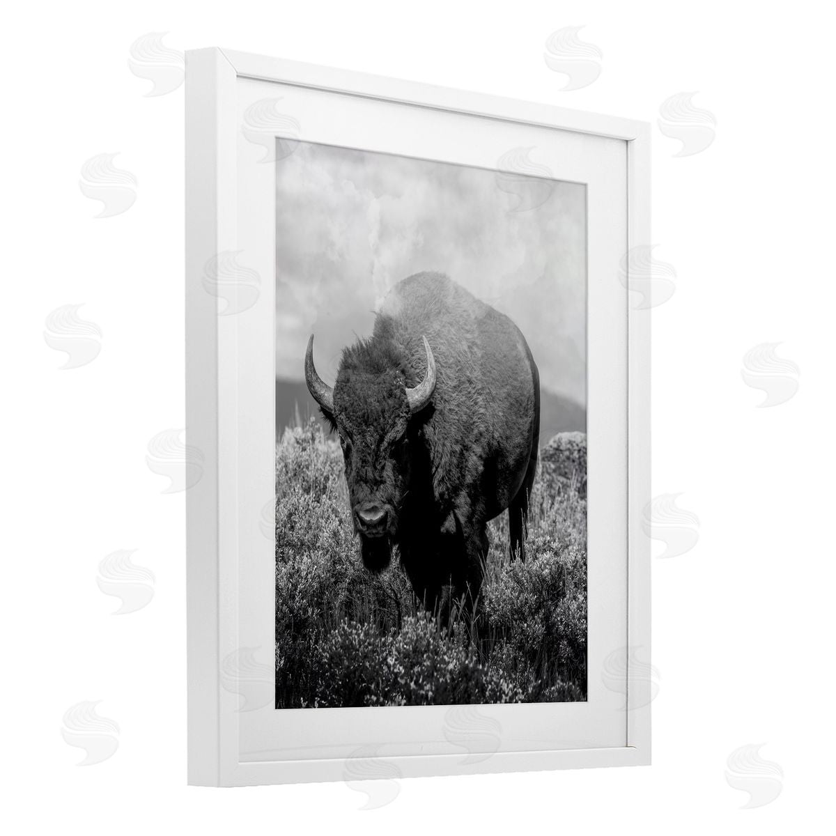 Marcus Prime Wandering Bison Monochrome Portrait Canvas Wall Art Print
