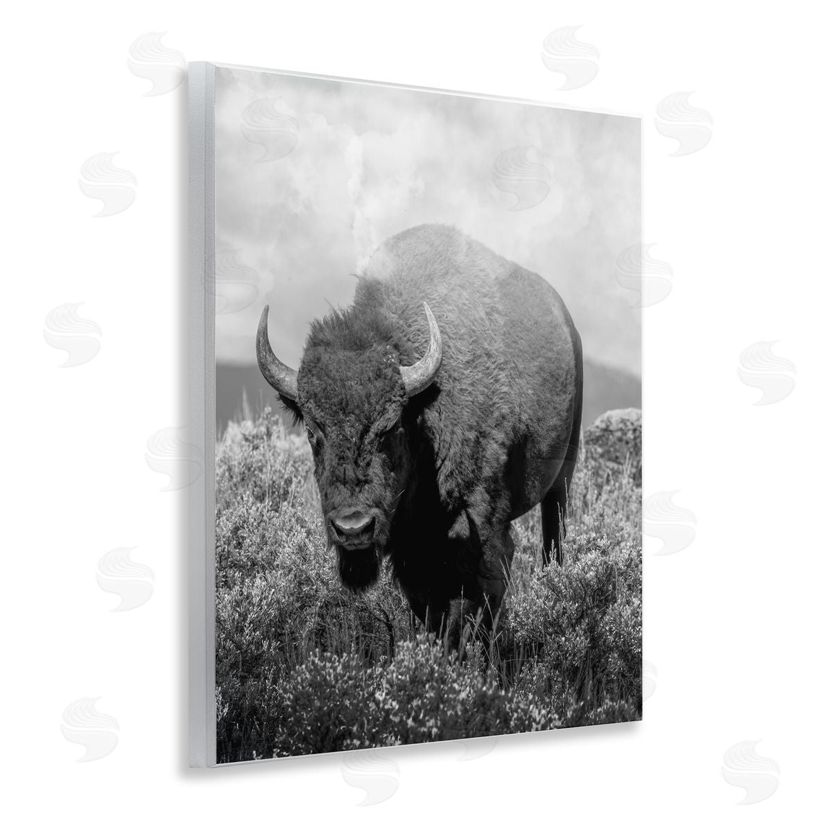 Marcus Prime Wandering Bison Monochrome Portrait Canvas Wall Art Print