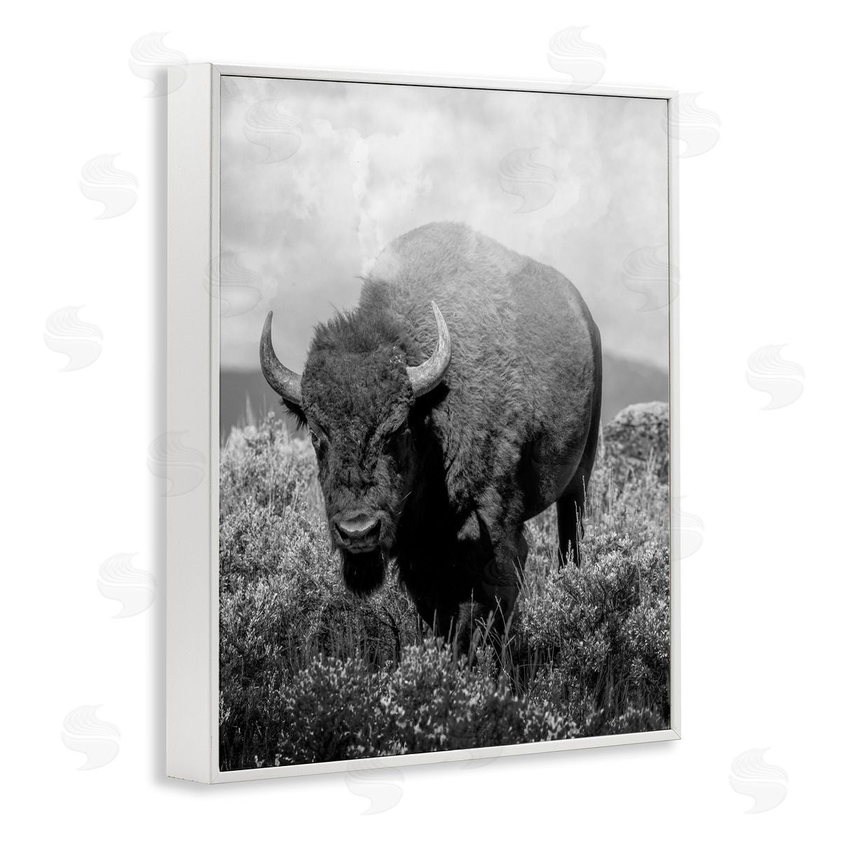 Marcus Prime Wandering Bison Monochrome Portrait Canvas Wall Art Print