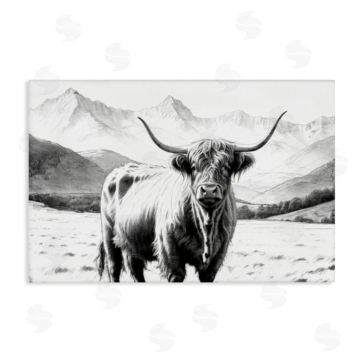 Kim Allen | Highland Sketch Cattle Portrait
