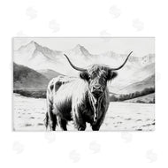 Kim Allen | Highland Sketch Cattle Portrait