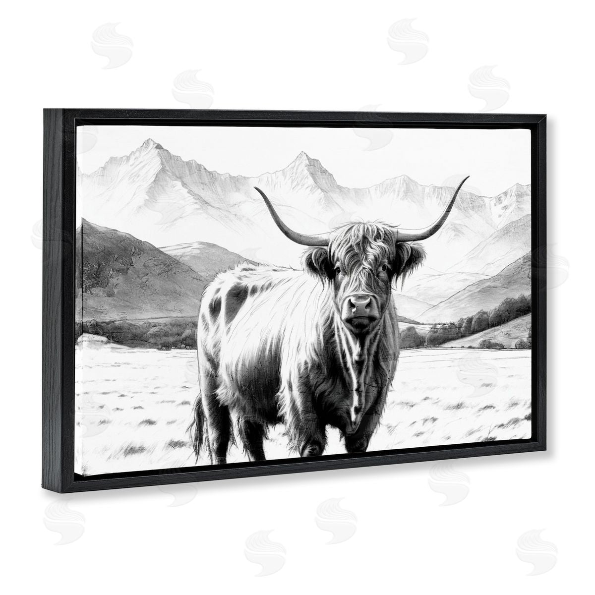 Kim Allen | Highland Sketch Cattle Portrait