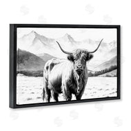 Kim Allen | Highland Sketch Cattle Portrait