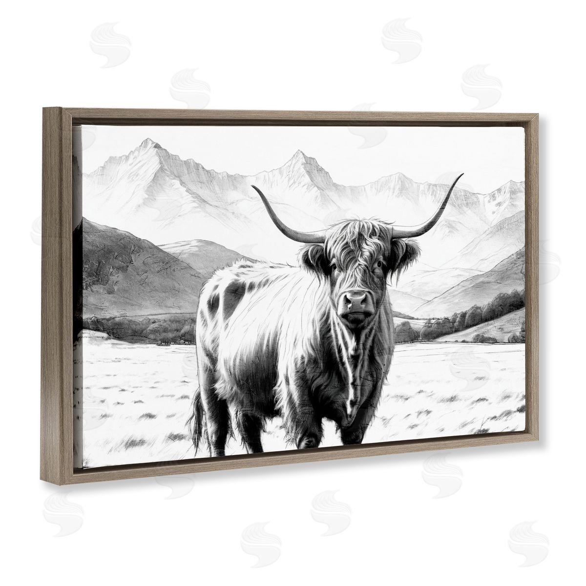 Kim Allen | Highland Sketch Cattle Portrait