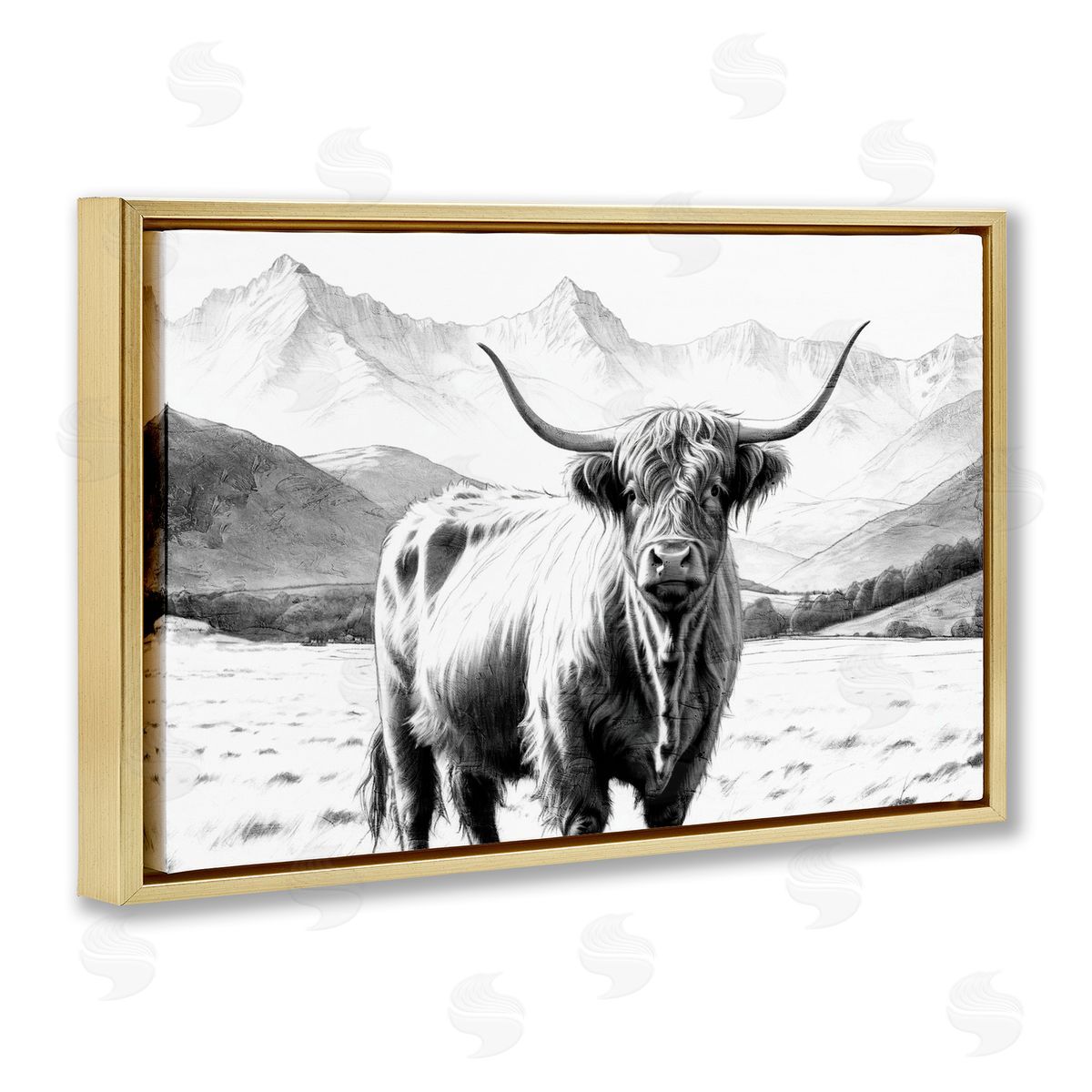 Kim Allen | Highland Sketch Cattle Portrait