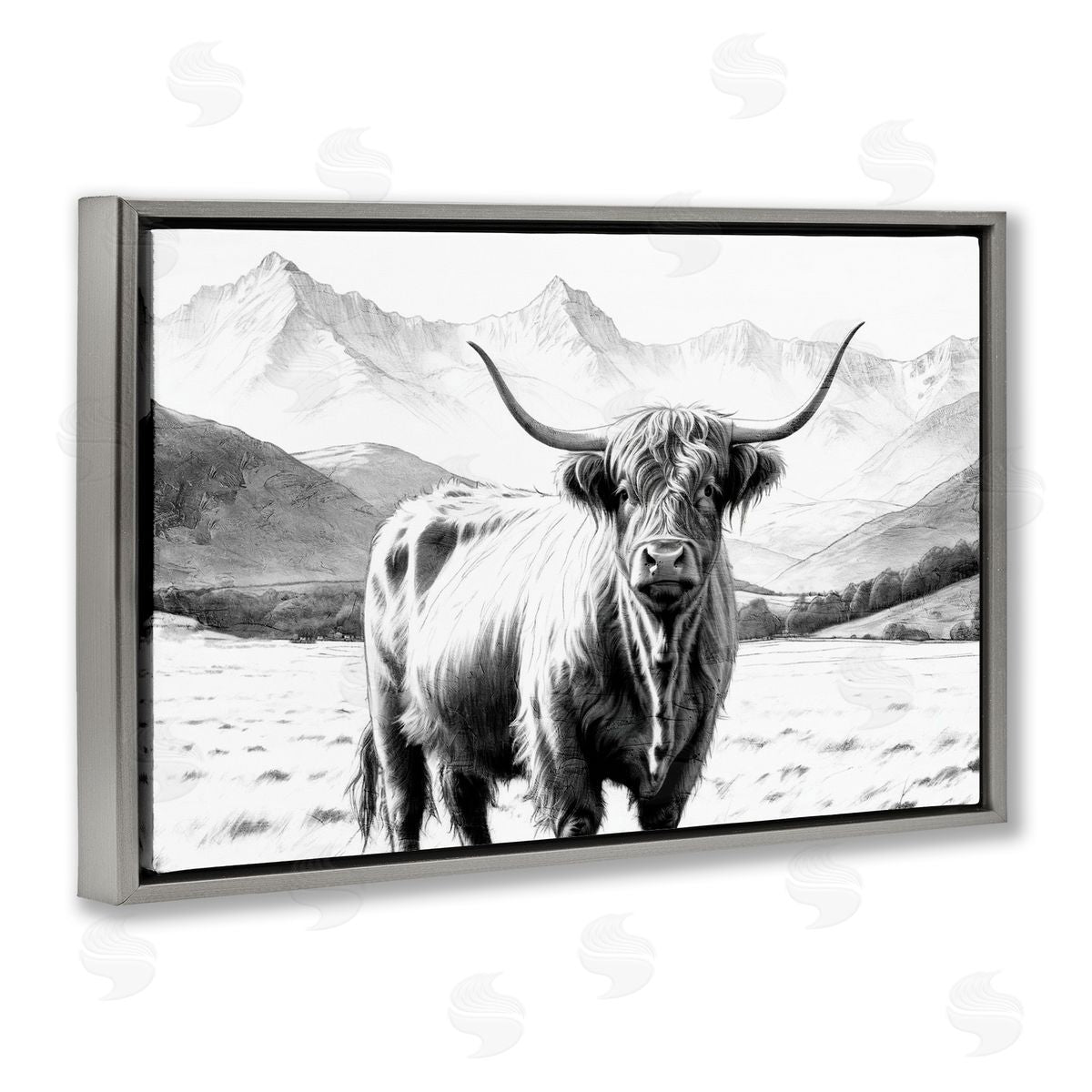 Kim Allen | Highland Sketch Cattle Portrait
