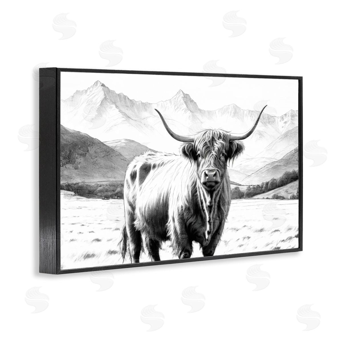 Kim Allen | Highland Sketch Cattle Portrait