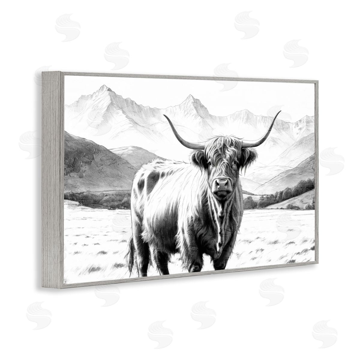 Kim Allen | Highland Sketch Cattle Portrait