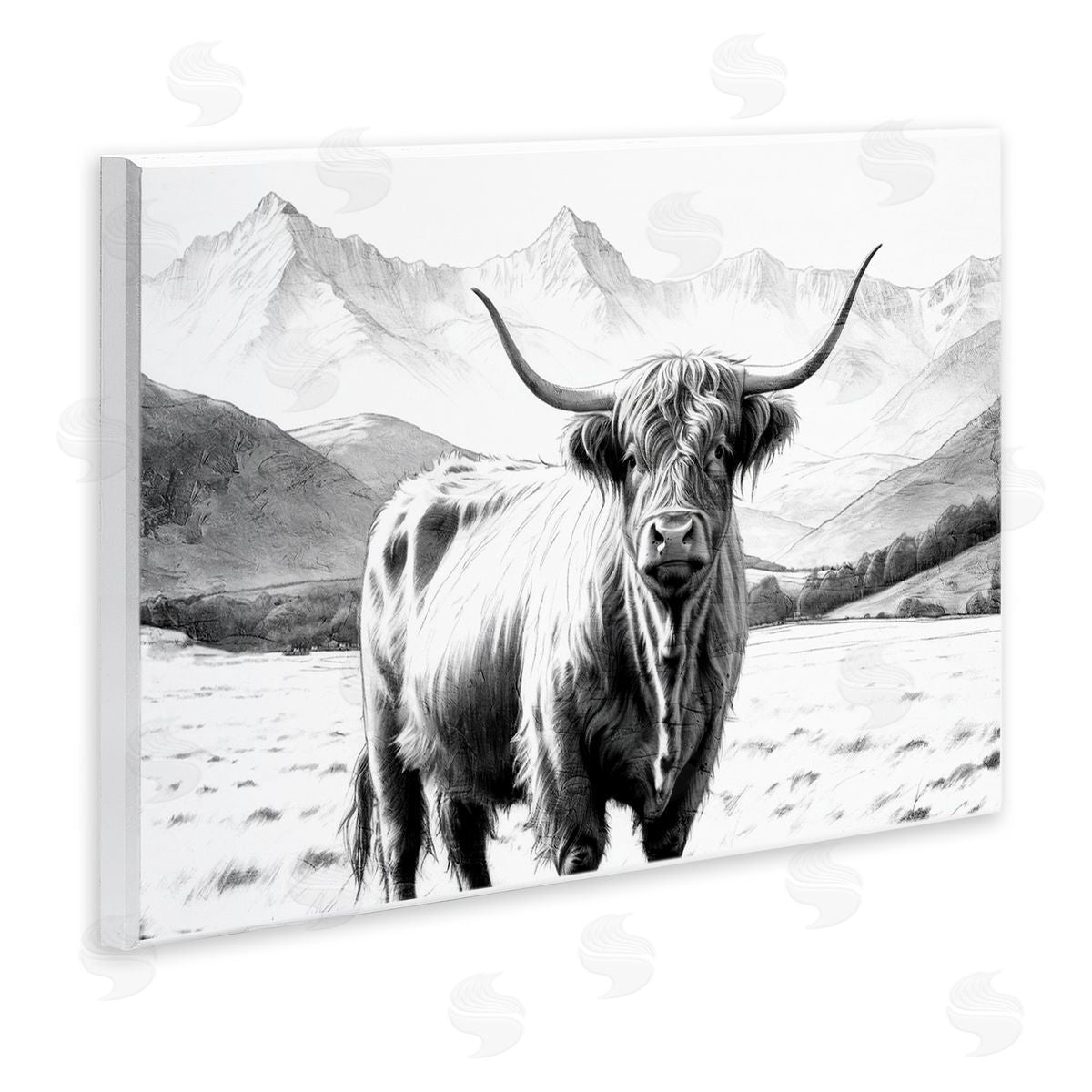 Kim Allen | Highland Sketch Cattle Portrait
