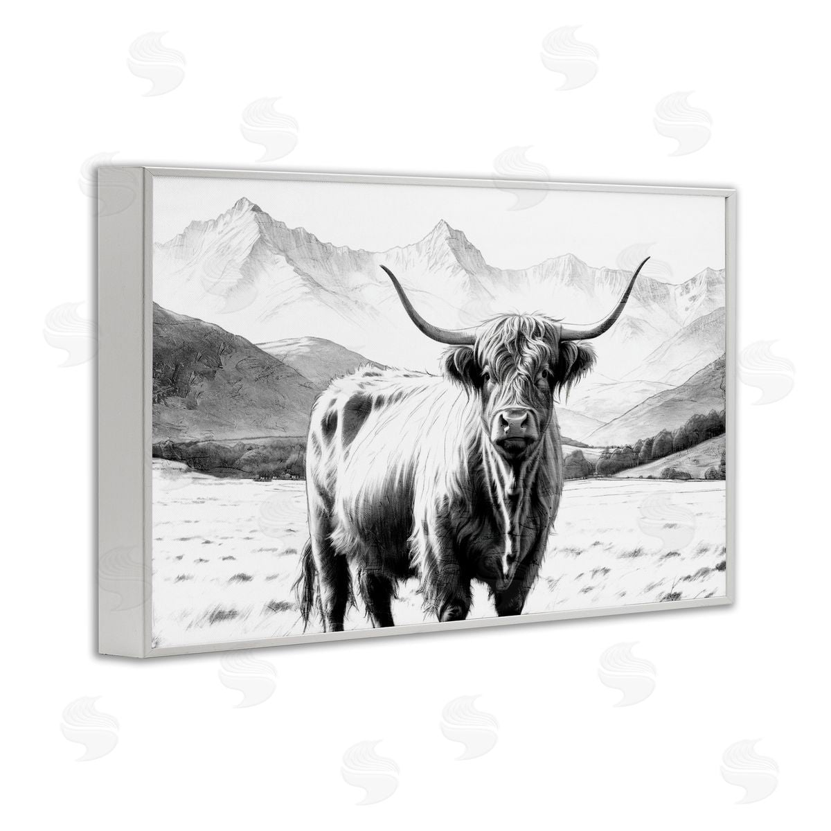 Kim Allen | Highland Sketch Cattle Portrait